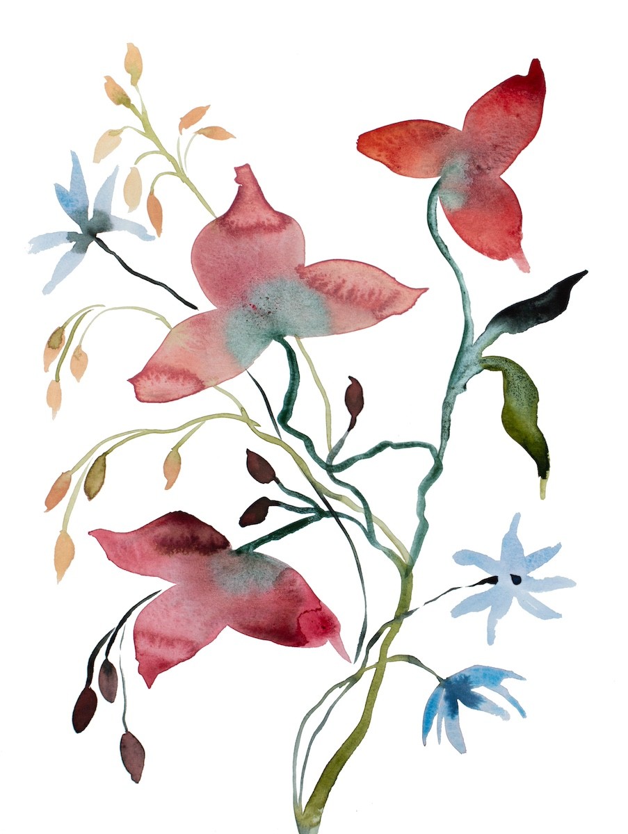 Elizabeth Becker, Floral No. 41 Elizabeth Becker, Floral No. 41