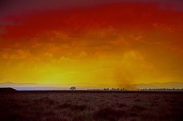 Photography, Bush Fire, Anthony Horth
