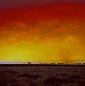 Photographie, Bush Fire, Anthony Horth
