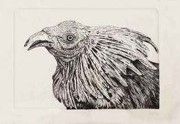Peinture, Gallo, Francisco Muñoz Tejeida