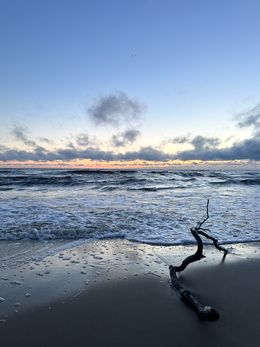 Fotografien, Twig on the beach, Mikaela Olovsson