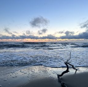 Photography, Twig on the beach, Mikaela Olovsson
