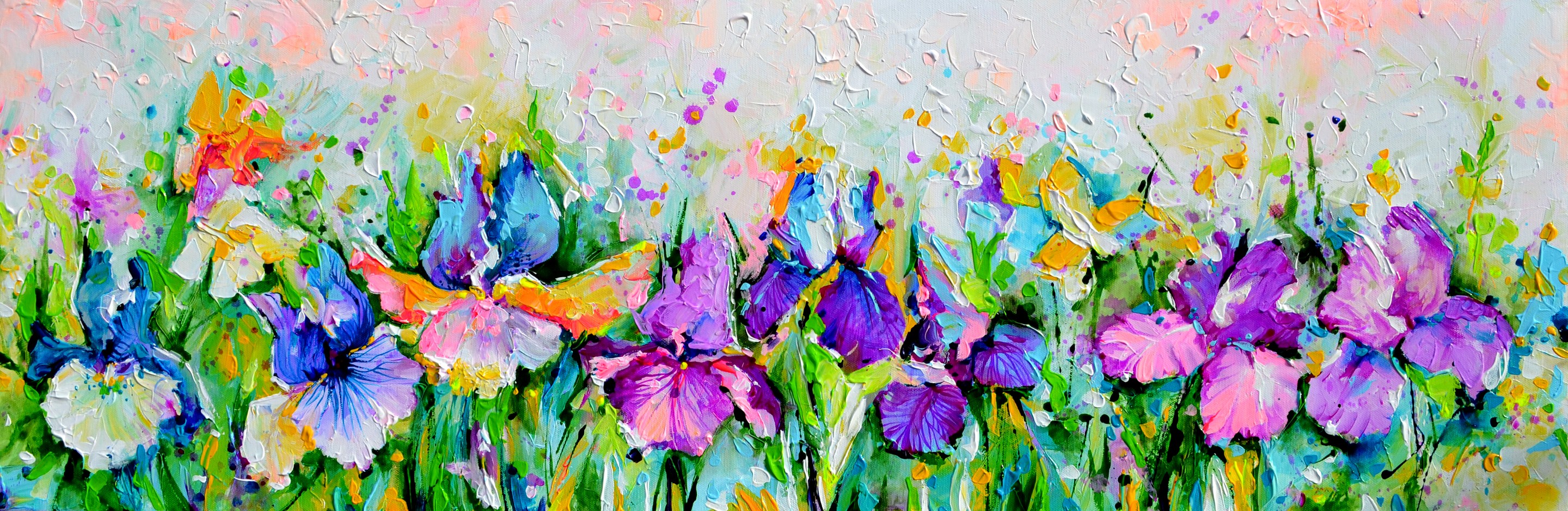 Soos Roxana, Iris Flower Field Soos Roxana, Iris Flower Field