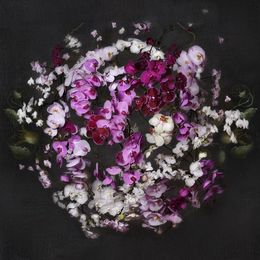 Fotografía, New Earth, Isabelle van Zeijl