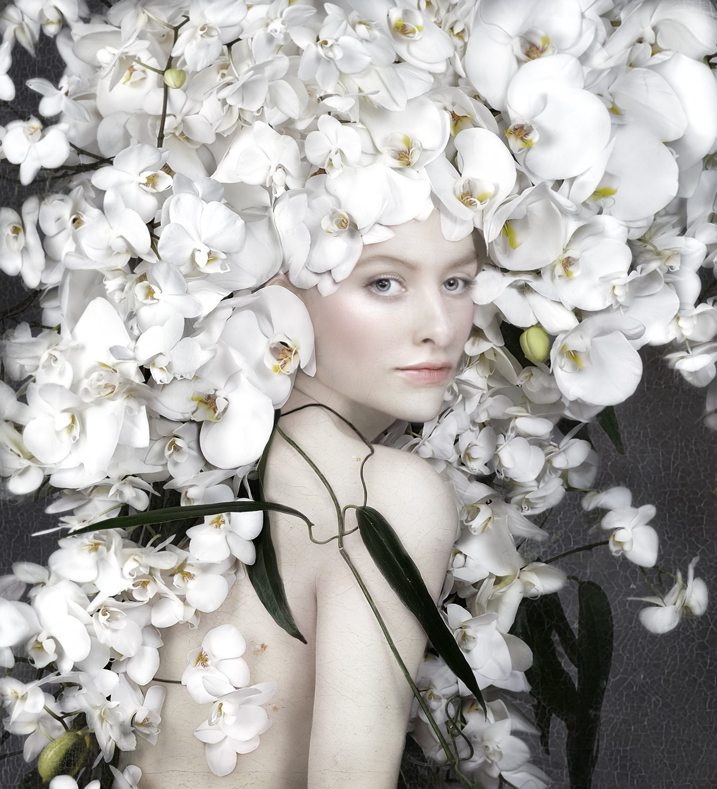 Isabelle van Zeijl, RADIANT Isabelle van Zeijl, RADIANT