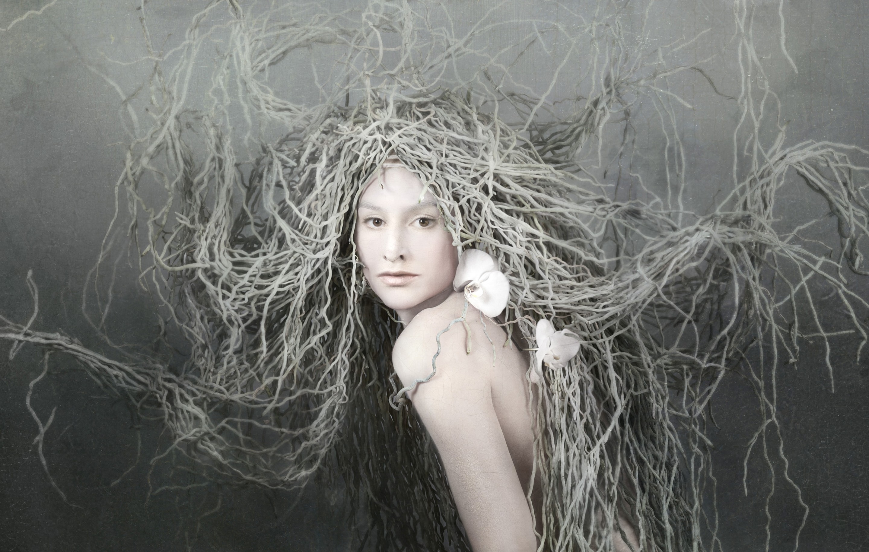 Isabelle van Zeijl, Her Roots (S) Isabelle van Zeijl, Her Roots (S)