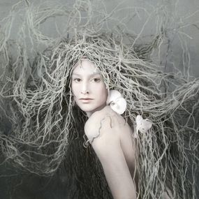 Photography, Her Roots (S), Isabelle van Zeijl
