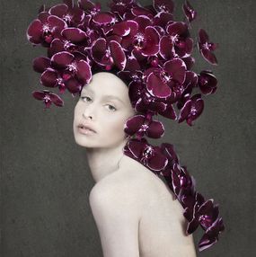 Photography, The New Me, Isabelle van Zeijl