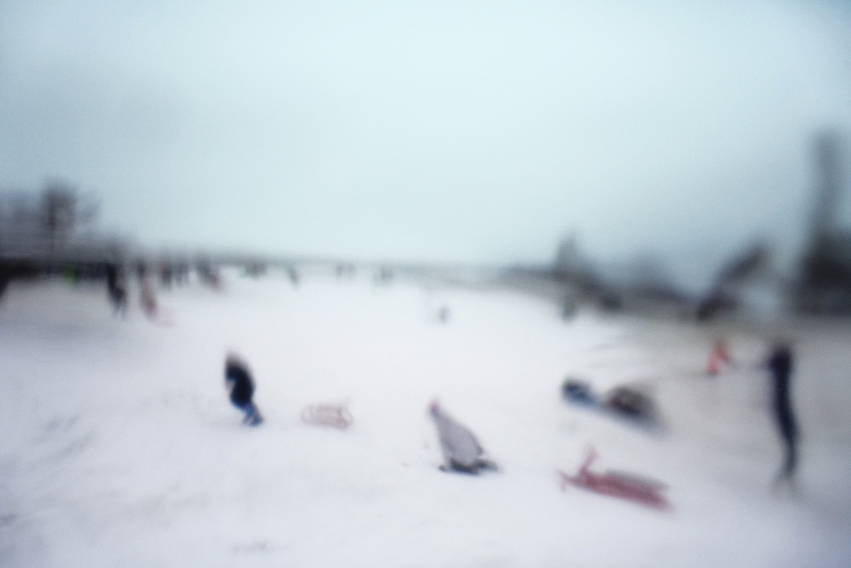 Mihaela Ivanova, First Day of the Year Mihaela Ivanova, First Day of the Year