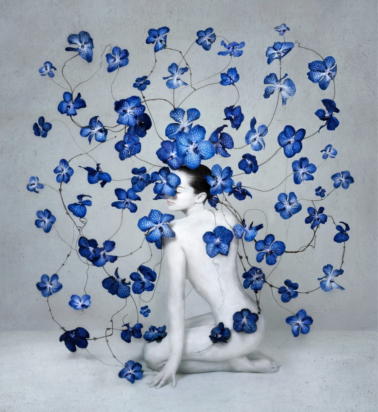 Isabelle van Zeijl, Deep Blue Isabelle van Zeijl, Deep Blue