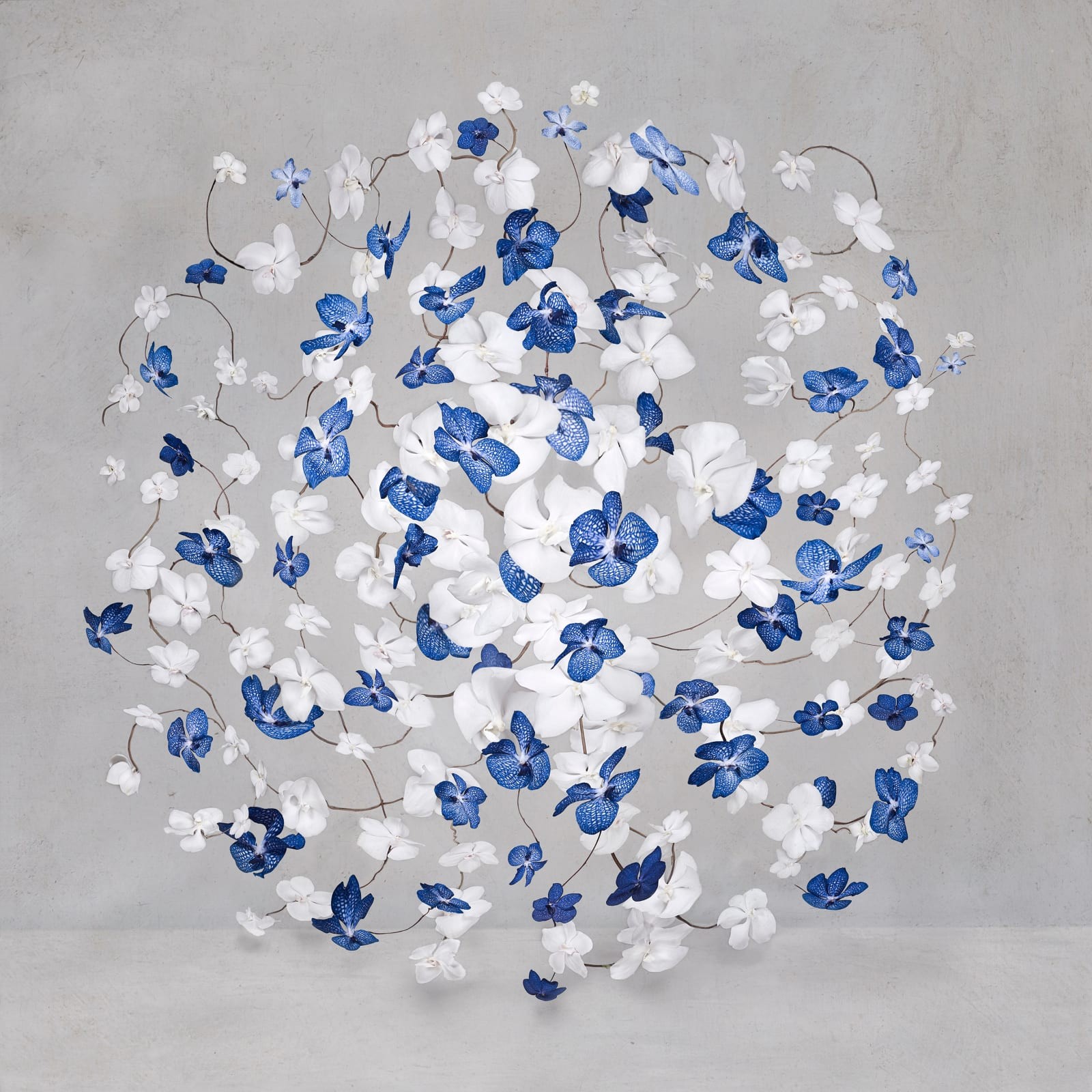 Isabelle van Zeijl, The Sea & The Sky Isabelle van Zeijl, The Sea & The Sky