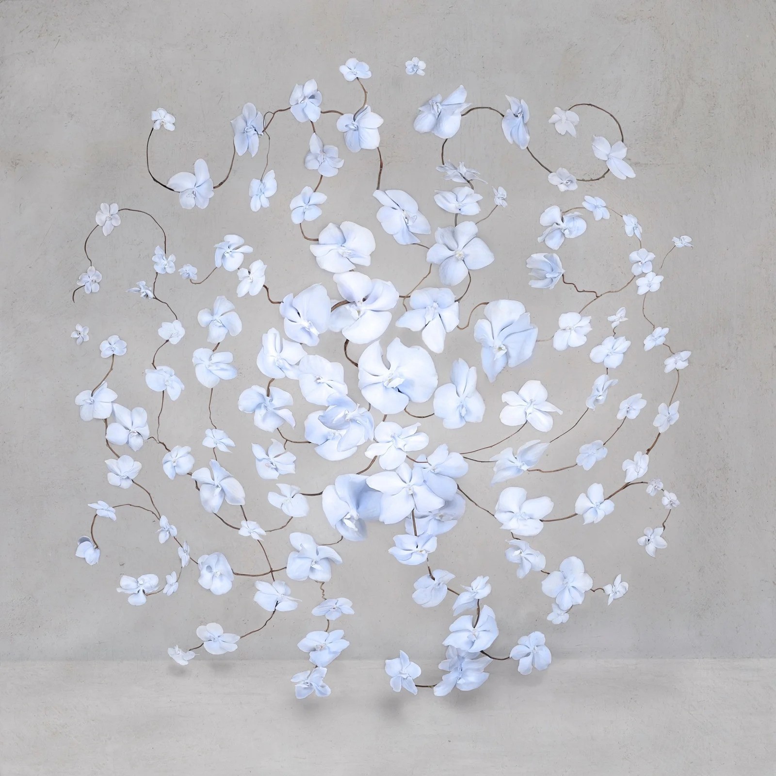 Isabelle van Zeijl, Electric Blue (S) Isabelle van Zeijl, Electric Blue (S)