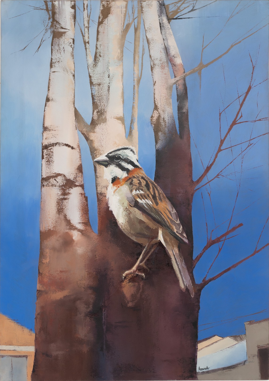 Adda Donato, Sparrow Adda Donato, Sparrow