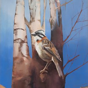 Gemälde, Sparrow, Adda Donato