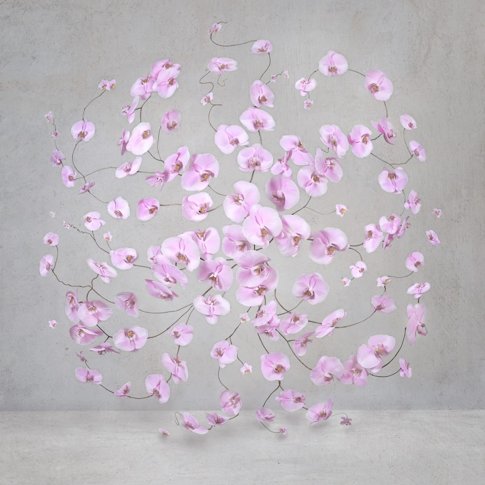 Isabelle van Zeijl, Infinite Pink (S) Isabelle van Zeijl, Infinite Pink (S)