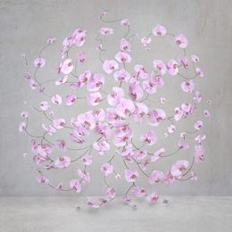 Fotografía, Infinite Pink (M), Isabelle van Zeijl
