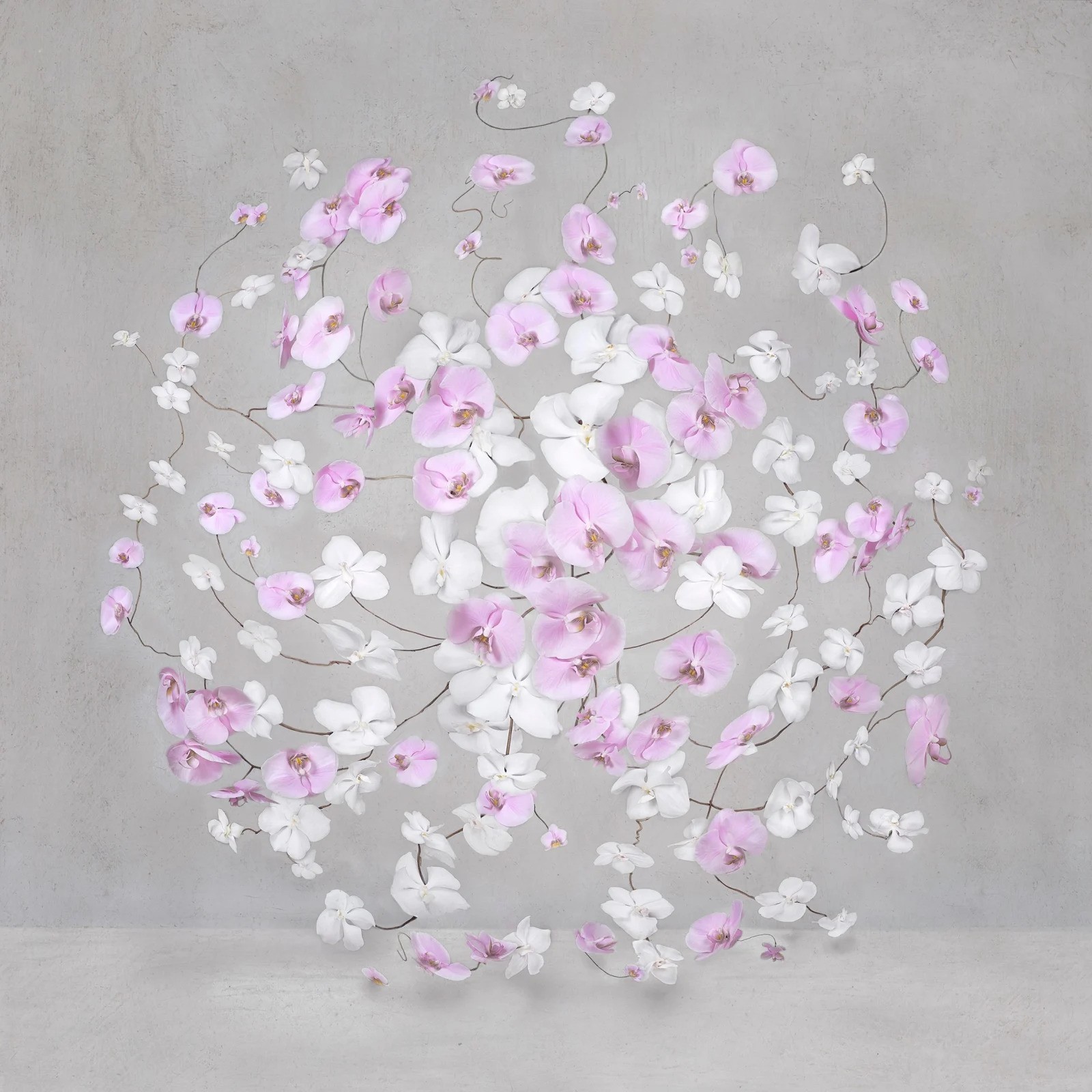 Isabelle van Zeijl, Infinite Pink Light (S) Isabelle van Zeijl, Infinite Pink Light (S)