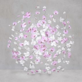 Photography, Infinite Pink Light (S), Isabelle van Zeijl