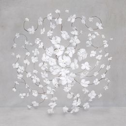 Fotografía, Infinite White (S), Isabelle van Zeijl