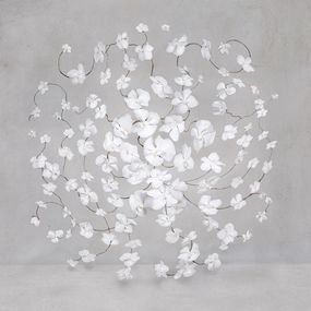 Photography, Infinite White (S), Isabelle van Zeijl