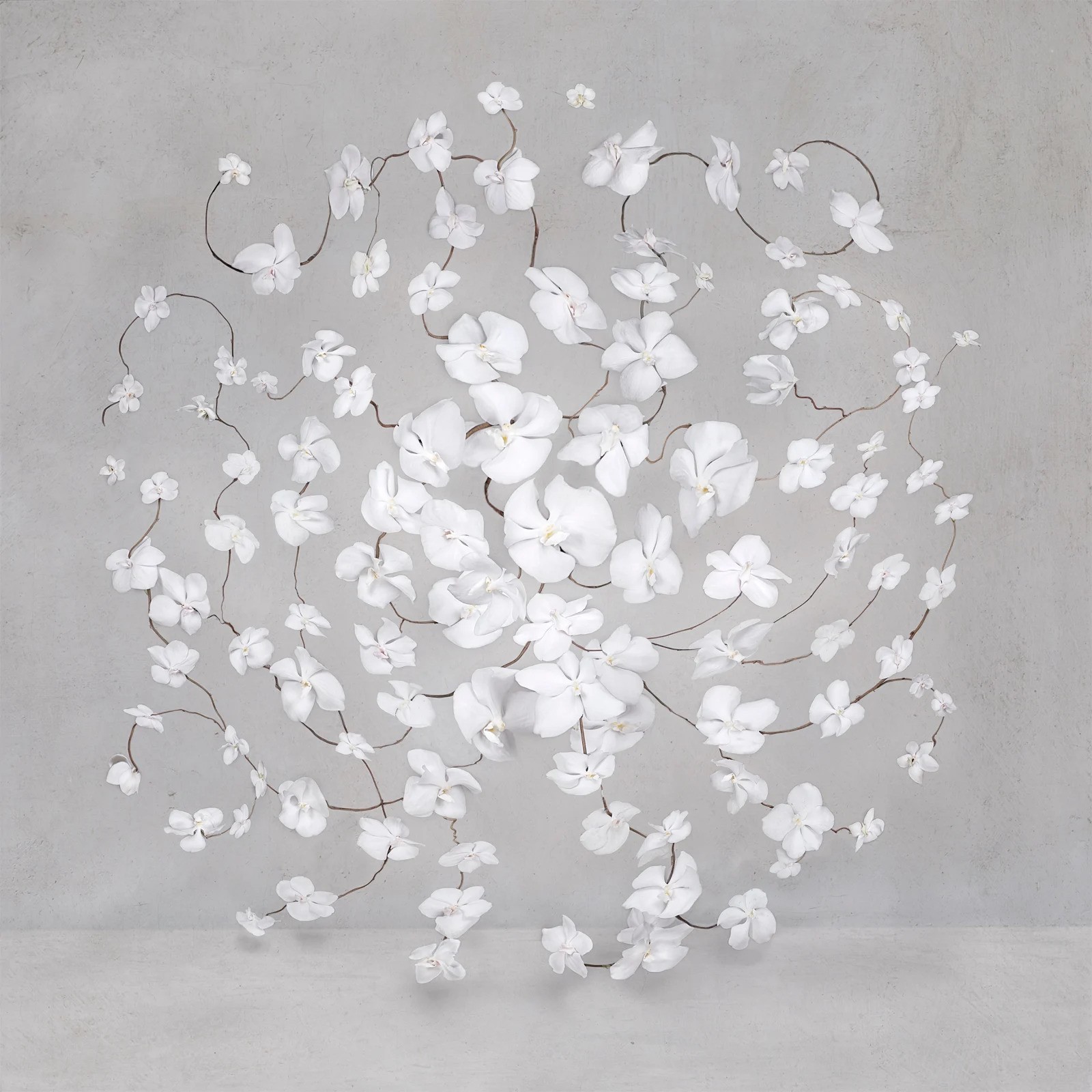 Isabelle van Zeijl, Infinite White (M) Isabelle van Zeijl, Infinite White (M)