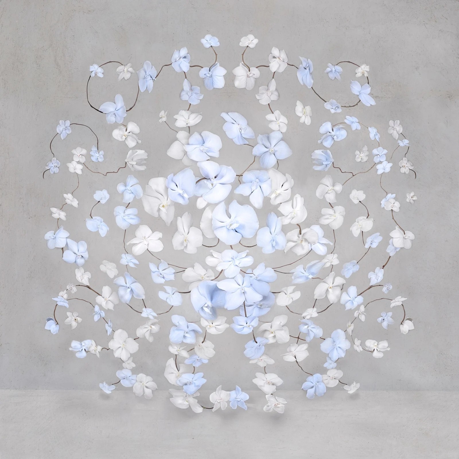 Isabelle van Zeijl, Sky White (S) Isabelle van Zeijl, Sky White (S)