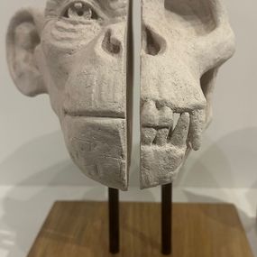 Sculpture, Singe 1, Maxime Piccoli