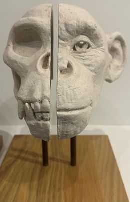 Sculpture, Singe 2, Maxime Piccoli