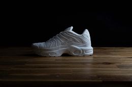 Sculpture, Air Max Plus TN, Josselin Kayser