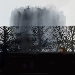 Photography, Revisiter la nature, Helga Stüber-Nicolas