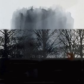 Photography, Revisiter la nature, Helga Stüber-Nicolas