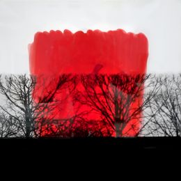 Photography, Revisiter la nature, Helga Stüber-Nicolas