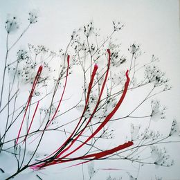 Photography, Revisiter la nature nº7, Helga Stüber-Nicolas