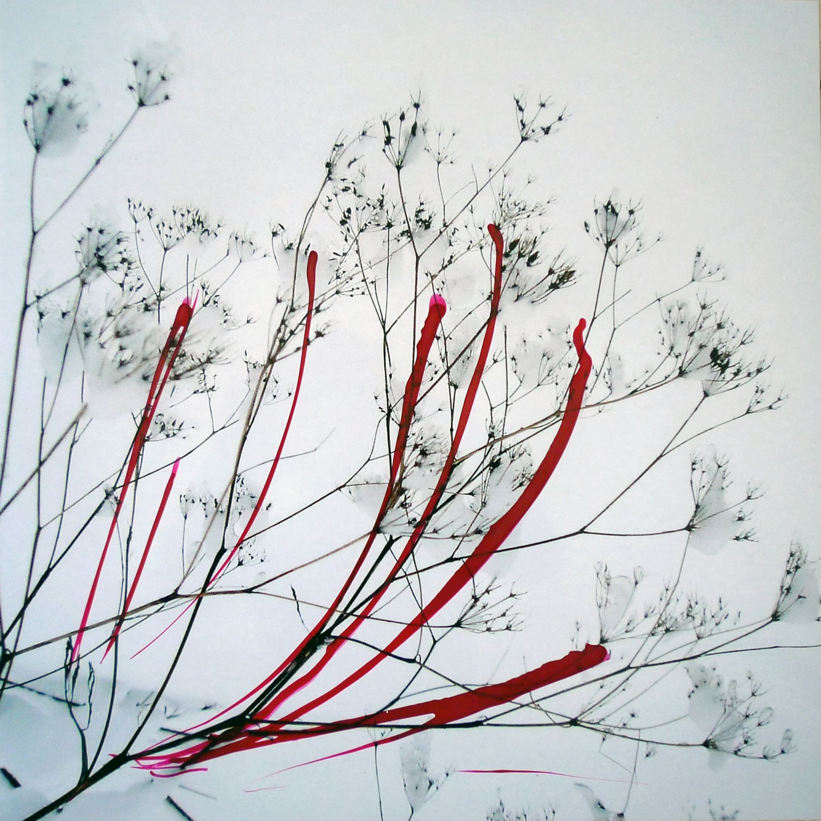 Helga Stüber-Nicolas, Revisiter la nature nº7 Helga Stüber-Nicolas, Revisiter la nature nº7