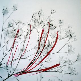 Photographie, Revisiter la nature nº7, Helga Stüber-Nicolas