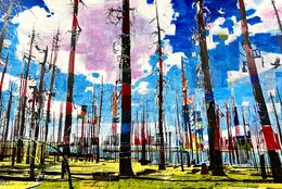 Painting, Bosque con nube rosa y lago, Manuel Perez
