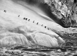 Fotografien, Iceberg, The Castle, Antarctica (S), Sebastião Salgado