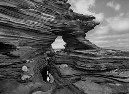 Fotografien, Sea Lions, Galapagos (M), Sebastião Salgado