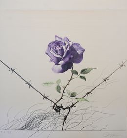 Fine Art Drawings, Purple Rose - Thorns and Thorns, Osse Müller