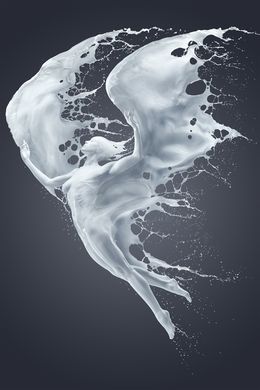 Photographie, Elysian Flight, Jaroslav