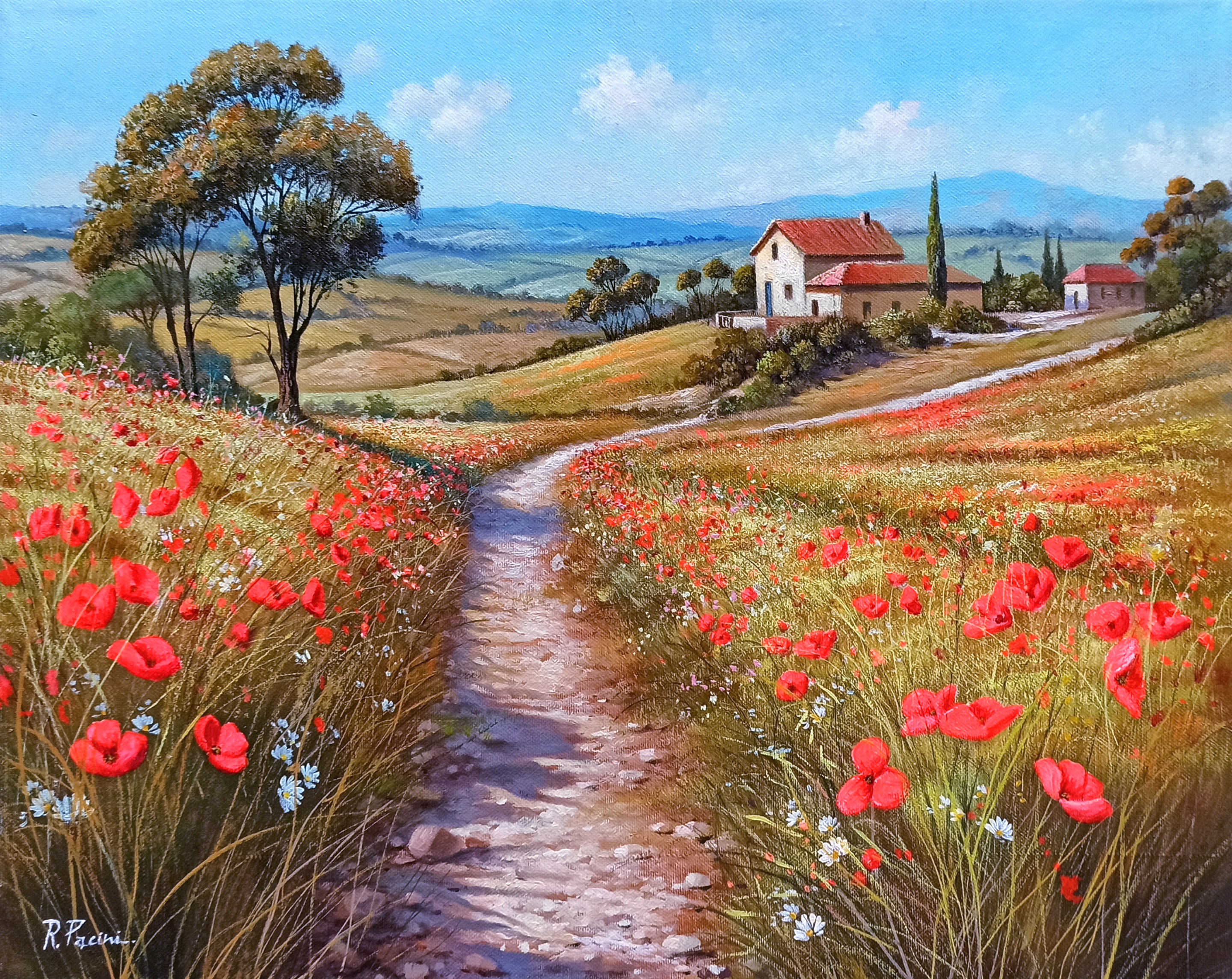 Raimondo Pacini, The path of daisies & poppies - Tuscany landscape painting Raimondo Pacini, The path of daisies & poppies - Tuscany landscape painting