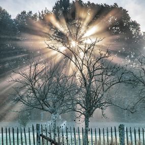 Photography, Solaire, Jean François Humbert