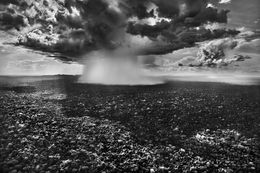 Fotografien, Serra do Divisor National Park, State of Acre, Brazil (M), Sebastião Salgado