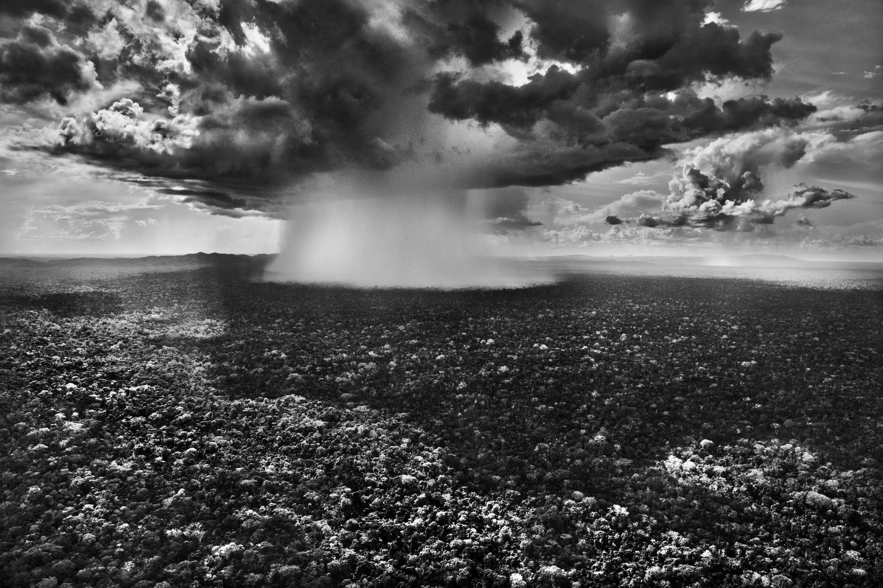 Sebastião Salgado, Serra do Divisor National Park, State of Acre, Brazil (XL) Sebastião Salgado, Serra do Divisor National Park, State of Acre, Brazil (XL)