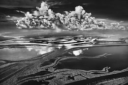 Photography, Anavilhanas National Park, State of Amazonas, Brazil (M), Sebastião Salgado