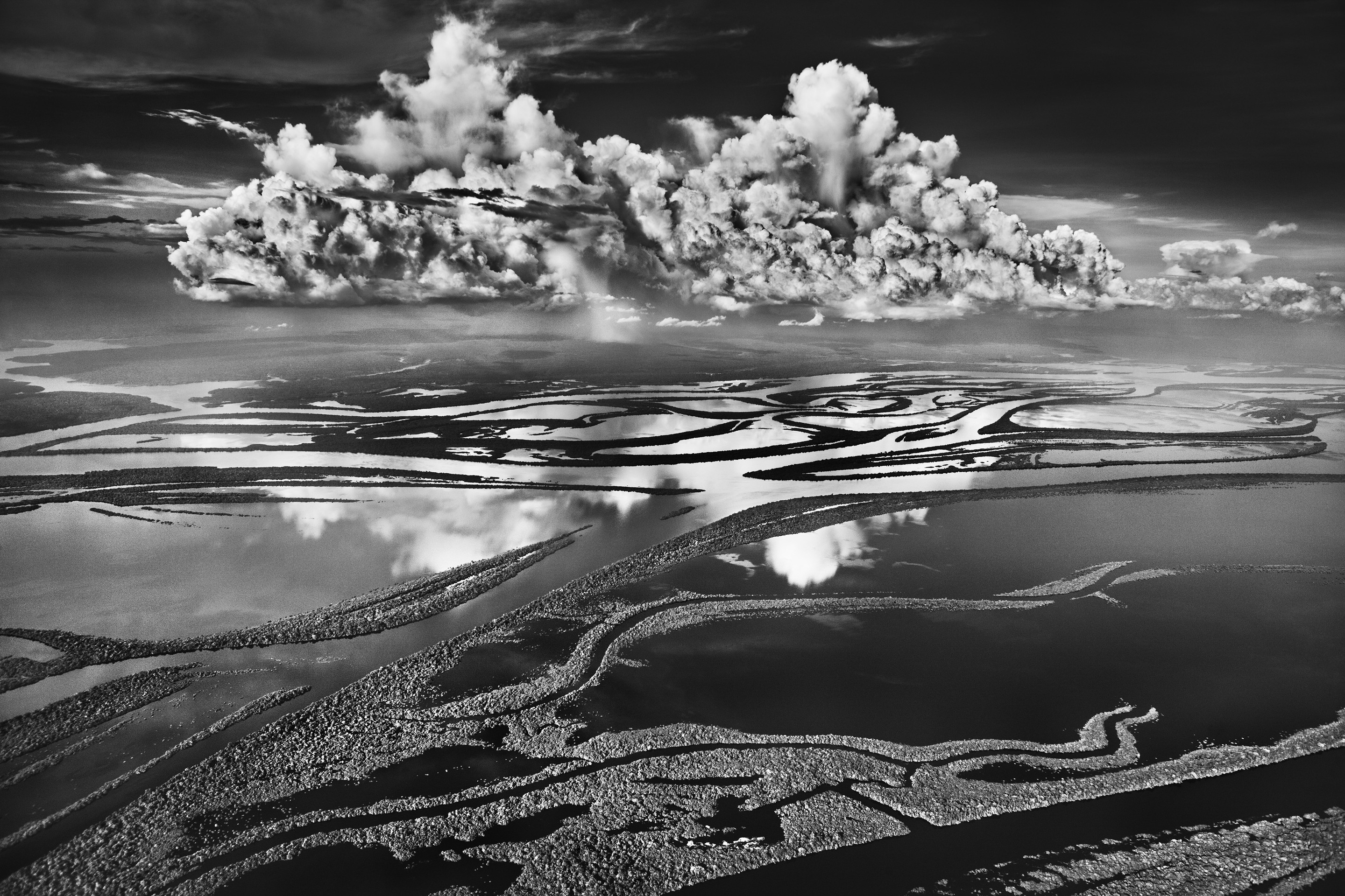Sebastião Salgado, Anavilhanas National Park, State of Amazonas, Brazil (M) Sebastião Salgado, Anavilhanas National Park, State of Amazonas, Brazil (M)