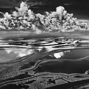 Photography, Anavilhanas National Park, State of Amazonas, Brazil (M), Sebastião Salgado