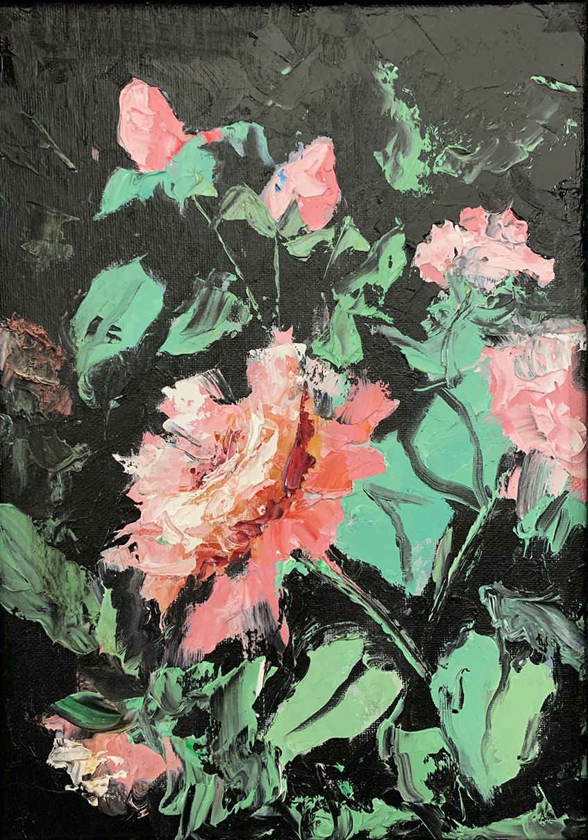 Schagen Vita, Midnight Roses Schagen Vita, Midnight Roses