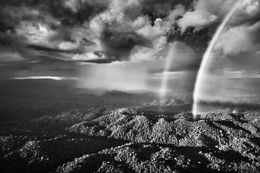 Fotografien, Yanomami Indigenous Territory, State of Roraima, Brazil (XL), Sebastião Salgado