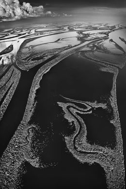 Photography, Anavilhanas National Park, State of Amazonas, Brazil (L), Sebastião Salgado